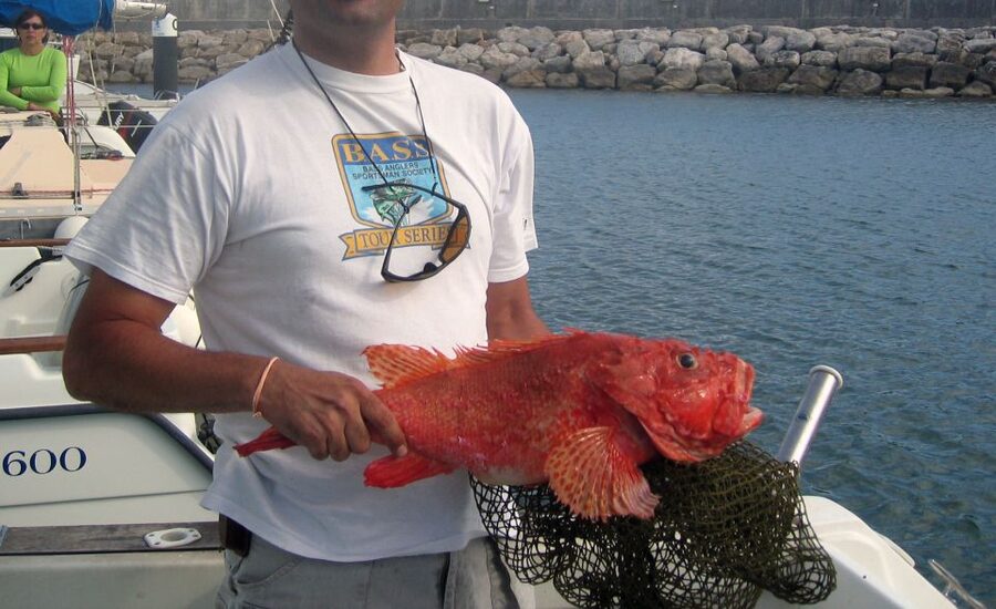 Cascais Deep-Sea Fishing Trip - Is $104 a fair price?