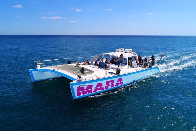Catamaran BBQ on the Beach: Cruise to Benagil Caves - The beach stop and the dinghy transfer