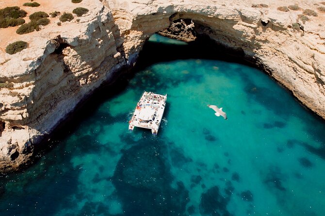 Catamaran Cruise: Caves and Coastline to Benagil - What This Albufeira Catamaran Trip Is Really Like
