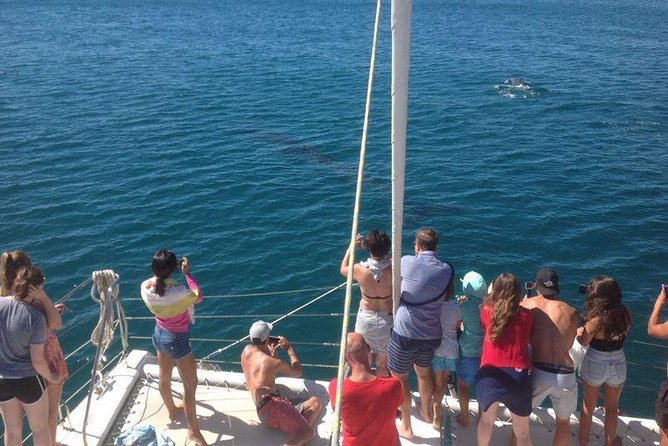 Catamaran Cruise in Lagos - Canavial’s Small Beach and Hidden Caves