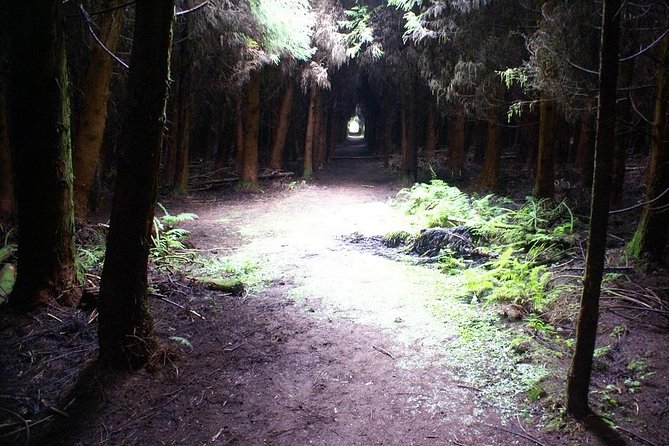 Cave Tour in Terceira - Is $54.07 a good price?