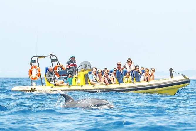 Caves and Dolphin Watching Cruise from Albufeira - Starting at Dream Wave in Albufeira Marina