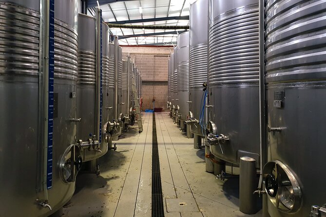 Classic Tasting | Quinta de Santa Cristina Vinho Verde - The wine shop and the final practical stop