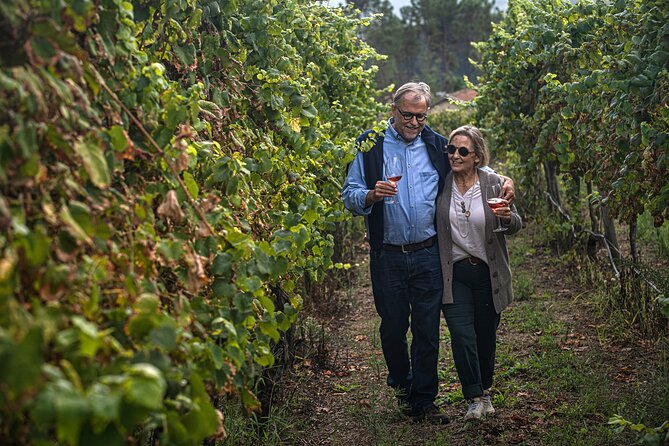 Classic Tasting | Quinta de Santa Cristina Vinho Verde - Who will get the most from this quinta visit