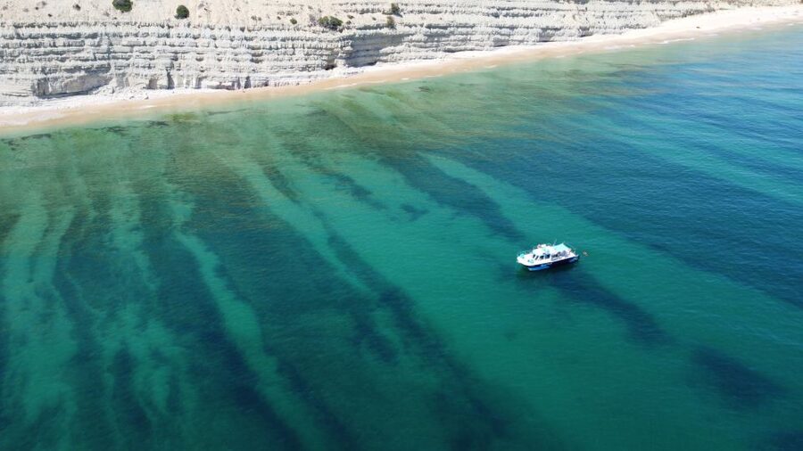 Coast Trip to Ponta da Piedade From Lagos - Practical advice for a smooth outing