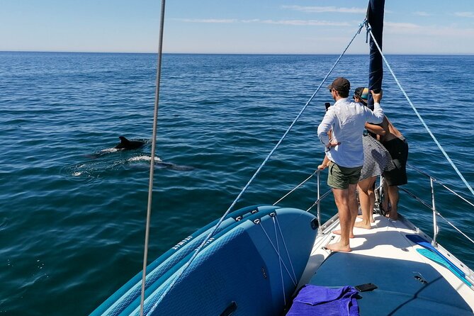 Coastal Tour on a Luxury Sailing Yacht From Vilamoura - A Small White-Sand Cove by Boat