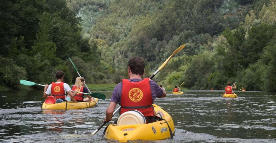 Coimbra: Mondego River Kayaking Tour - Why the Mondego River makes a fine day out