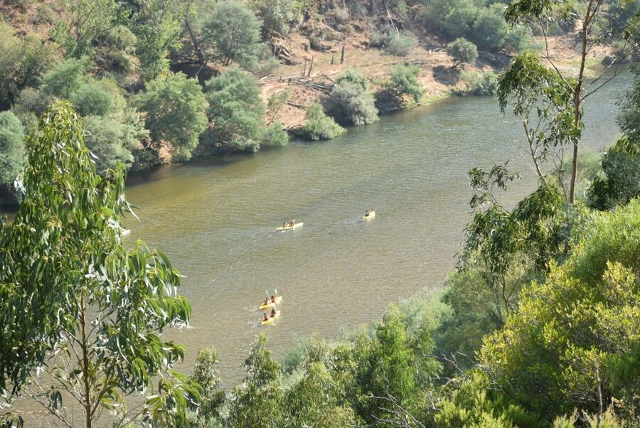 Coimbra: Mondego River Kayaking Tour - The final 40 minutes to Torres do Mondego