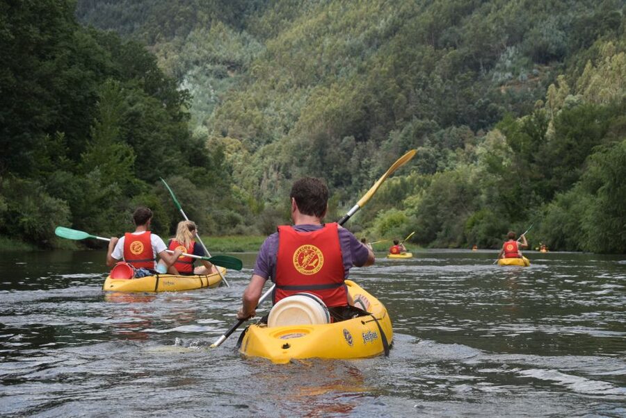 Coimbra: Mondego River Kayaking Tour - From Coimbra or Parque Verde to Penacova