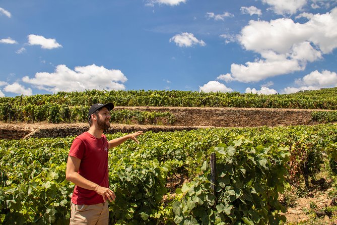Complete Douro Valley Wine Tour with Lunch, Wine Tastings and River Cruise - Key points to know before you book