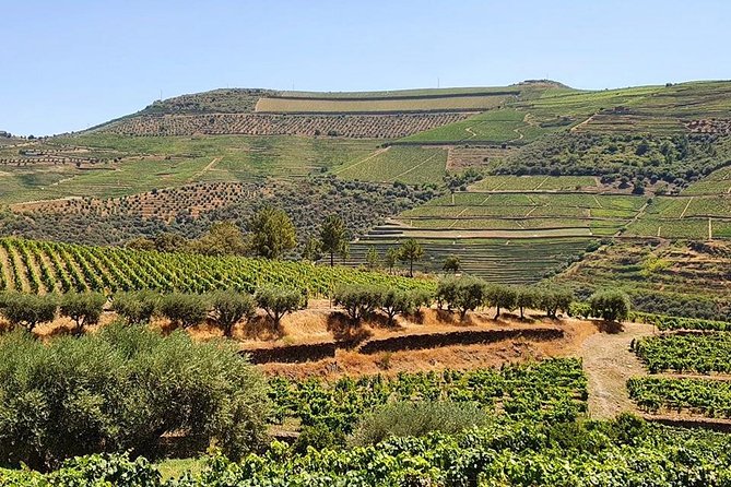Complete Douro Valley Wine Tour with Lunch, Wine Tastings and River Cruise - Pinhão and the 50-minute Rabelo boat cruise
