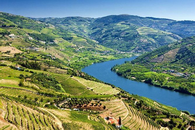 Complete Douro Valley Wine Tour with Lunch, Wine Tastings and River Cruise - Folgosa: a second estate and three more wines