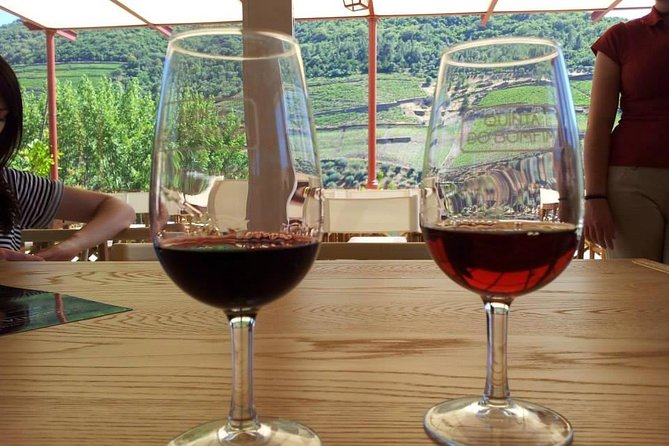 Complete Douro Valley Wine Tour with Lunch, Wine Tastings and River Cruise - What the price includes, and where the value lies