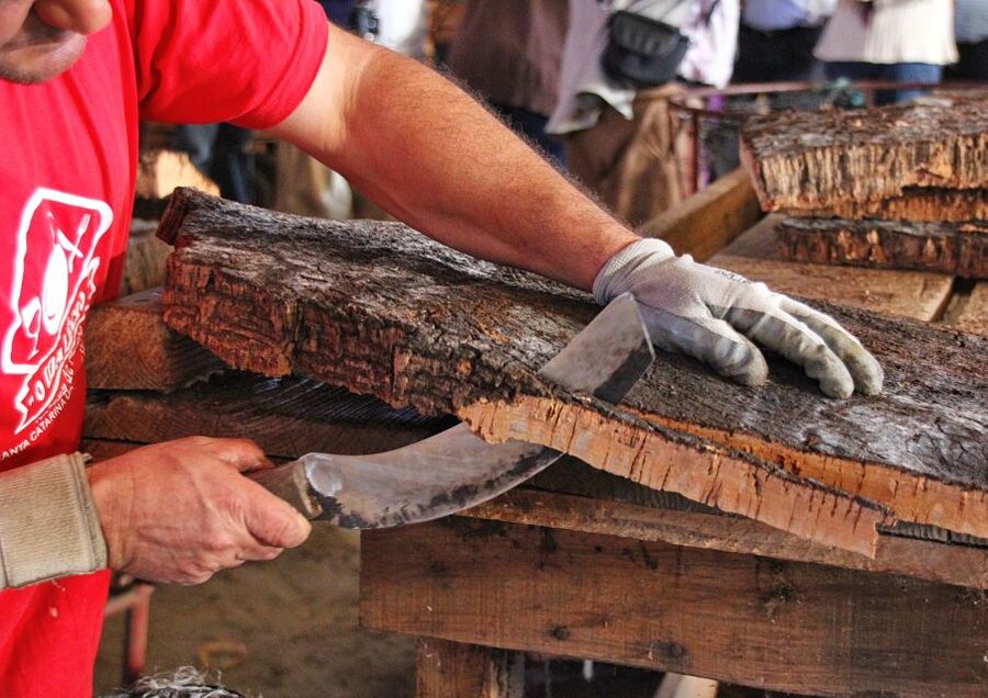 Cork Factory Tour - Key points at a glance