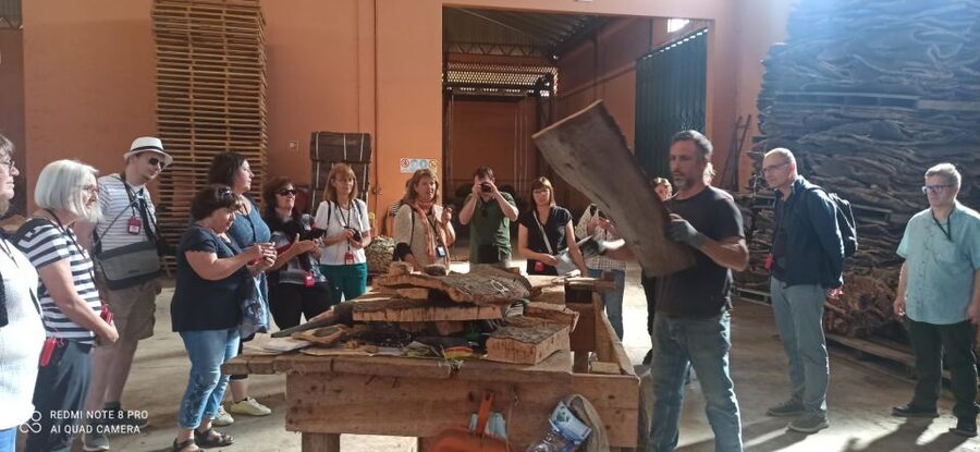 Cork Factory Tour - Why Algarve cork is worth understanding