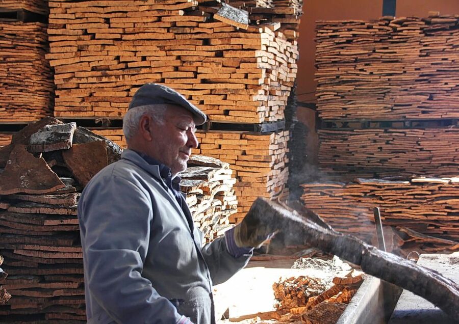Cork Factory Tour - The opening video explains the forest work