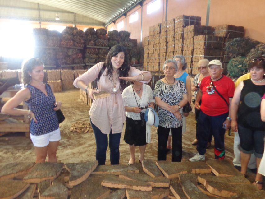 Cork Factory Tour - Quality control makes the price differences clearer