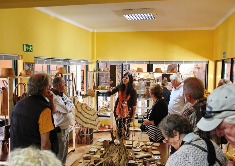 Cork Factory Tour - Who should book this cork tour?
