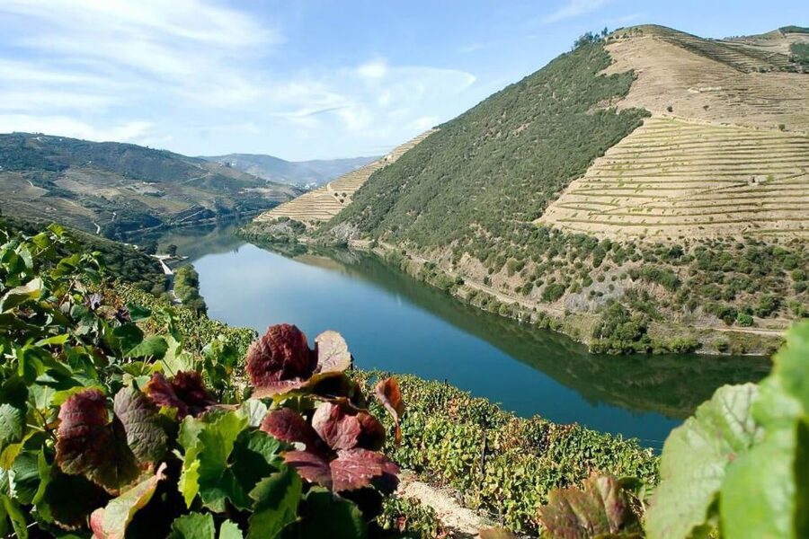 Day Cruise from Porto to Pinhão with Breakfast and Lunch - Bagaúste Dam and the approach to Pinhão