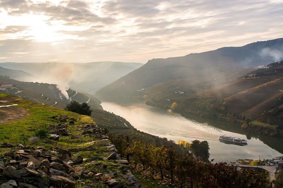 Day Cruise from Porto to Pinhão with Breakfast and Lunch - Comfort, service, and what to bring