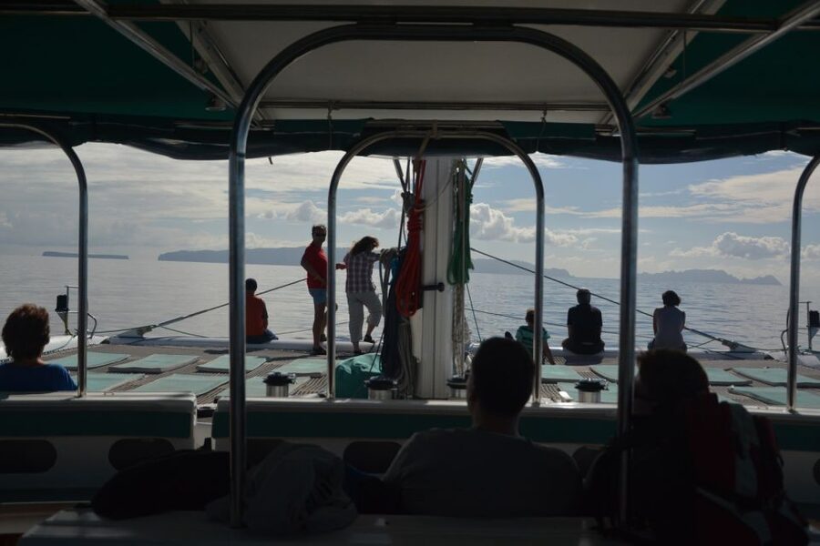 Desertas Islands Full-Day Catamaran Trip from Funchal - Why the Desertas Islands are different from Madeira