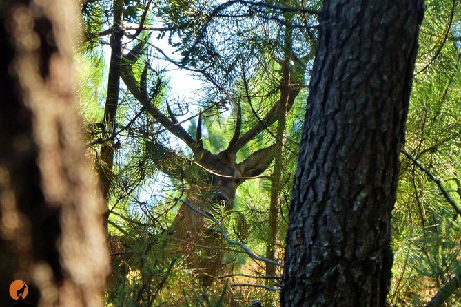 Discovering Nature in Serra da Lousã - Leaving Coimbra for the Serra da Lousã