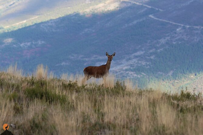 Discovering Nature in Serra da Lousã - Four hours, five hours, and the value of the price