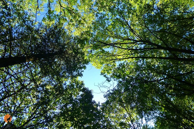 Discovering Nature in Serra da Lousã - Cancellation, weather, and practical planning
