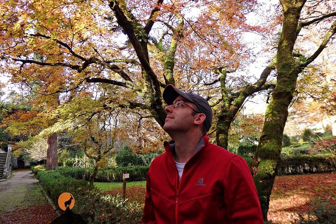 Discovering the charms and places of Coimbra - The Botanical Garden of the University of Coimbra