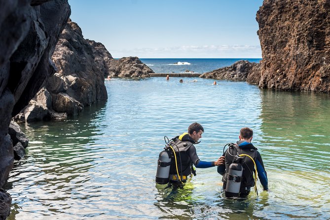 Diving in the Madeira Aquarium - Why this Madeira activity is different