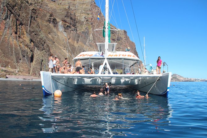 Dolphin and Whale Watching Catamaran Cruise from Funchal - The south coast from sea level