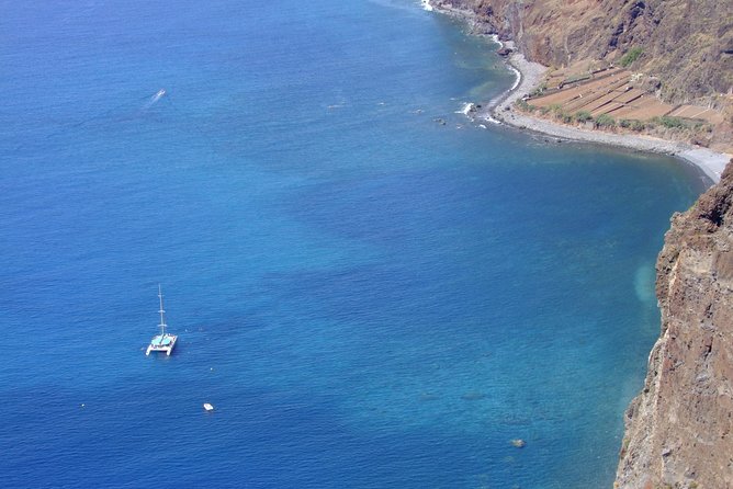 Dolphin and Whale Watching Catamaran Cruise from Funchal - Practical ways to enjoy the three hours