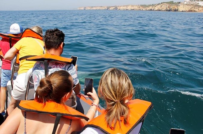 Dolphin and Whale Watching in Lagos - The RIB ride: fast, direct, and not for everyone