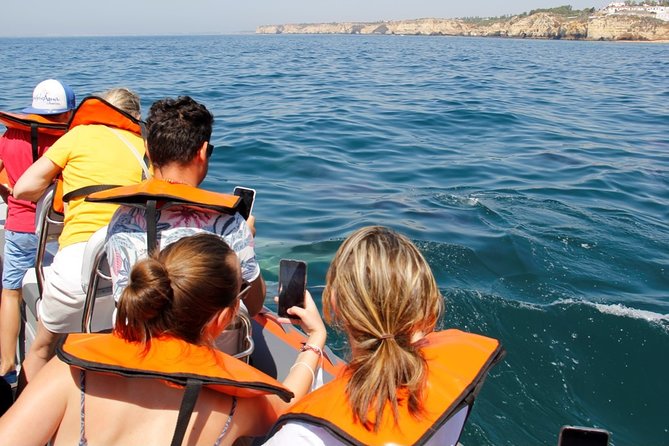 Dolphin and Whale Watching in Lagos - Who should book this Lagos boat trip?
