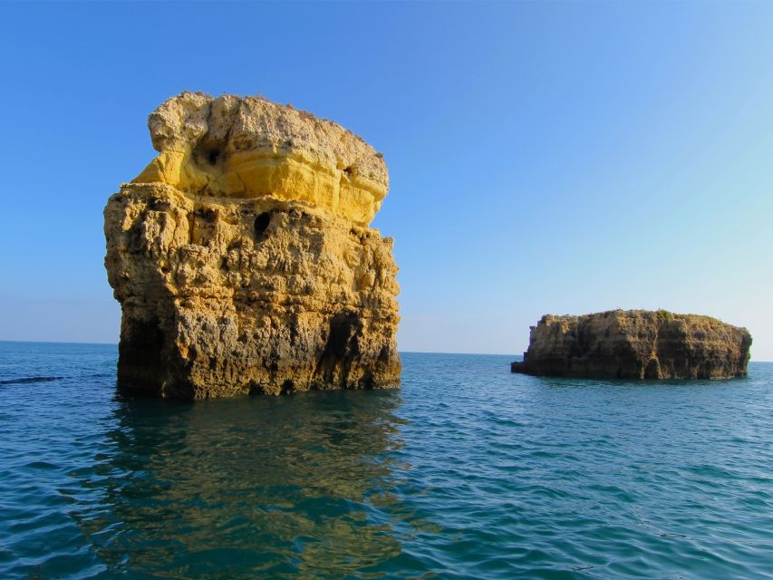 Dolphin Safari and Cave Tour in Vilamoura - Is $47 good value?