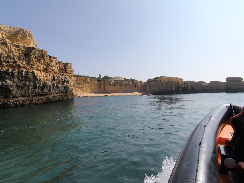 Dolphin Safari and Cave Tour in Vilamoura - Searching for bottlenose and common dolphins