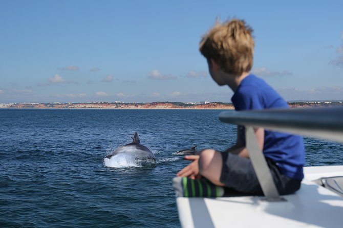 Dolphin Search - Dolphin Quest - Key points to know before you book