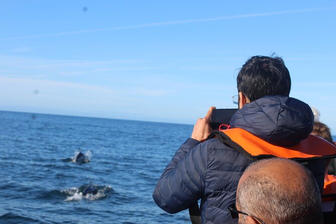 Dolphin Watching + 2 Islands Tour - From Faro - Starting in Faro and crossing the Ria Formosa