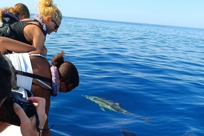 Dolphin Watching + 2 Islands Tour - From Faro - Ilha Deserta and the chance to swim
