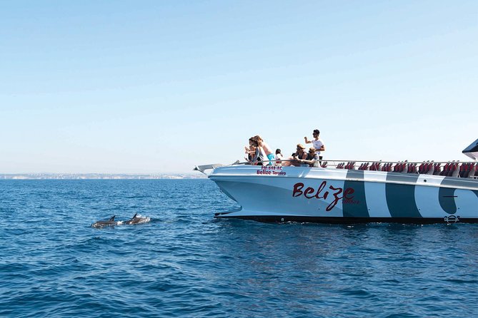 Dolphin Watching and Cave Boat Cruise from Albufeira - Leaving Alameda da Orada in Albufeira