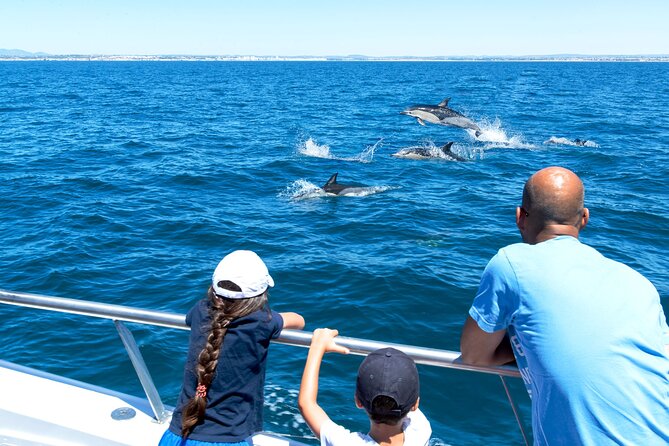 Dolphin Watching and Cave Boat Cruise from Albufeira - Benagil Cave and the Sandstone Cliffs
