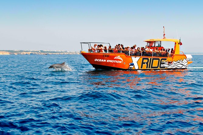 Dolphin Watching and Caves Cruise - Key points before you book