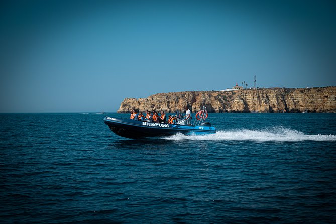 Dolphin Watching from Lagos with Marine Biologists - Searching for dolphins in open water