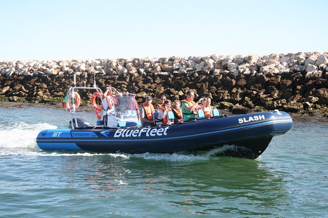 Dolphin Watching from Lagos with Marine Biologists - Is $48.39 good value?