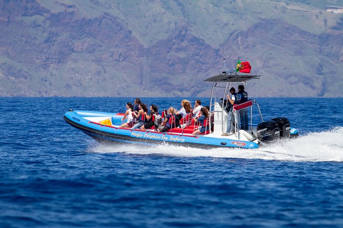 Dolphin - Whale - Turtle - Bird Watching - The 18-Person Boat and the Two Guides