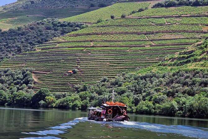 Douro Valley-Expert Guide-Boat-Lunch-Tastings-Offer wine bottle - The day in a nutshell