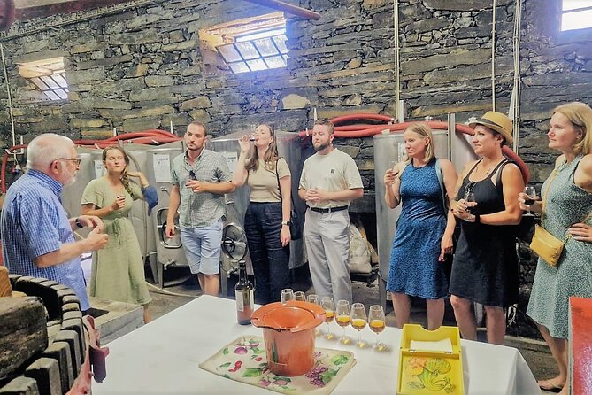 Douro Valley-Expert Guide-Boat-Lunch-Tastings-Offer wine bottle - The Torguiano viewpoint gives you the big picture