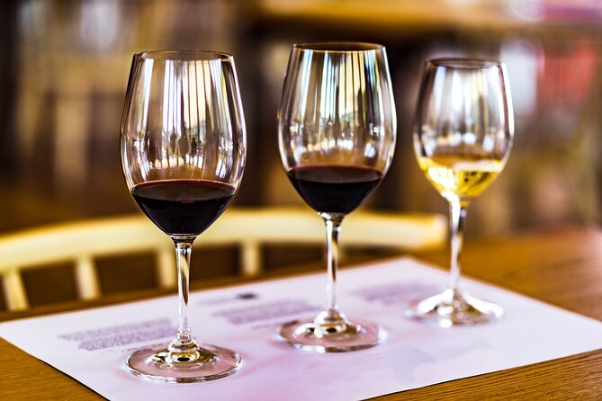 Douro Valley: Historical Sites, Wine Experience, Lunch & Cruise - The 50-minute Rabelo boat cruise from Pinhão