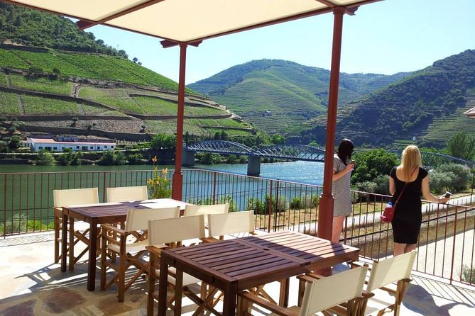Douro Valley: Historical Sites, Wine Experience, Lunch & Cruise - The vineyard estate and three wine tastings
