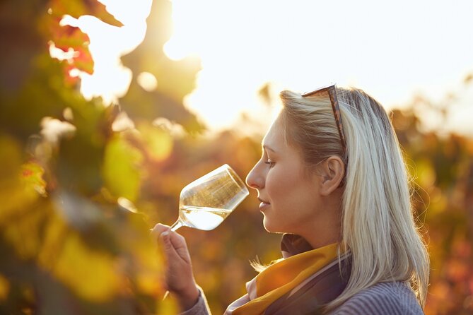 Douro Valley: Historical Sites, Wine Experience, Lunch & Cruise - The N222 road and the Douro’s vineyard terraces